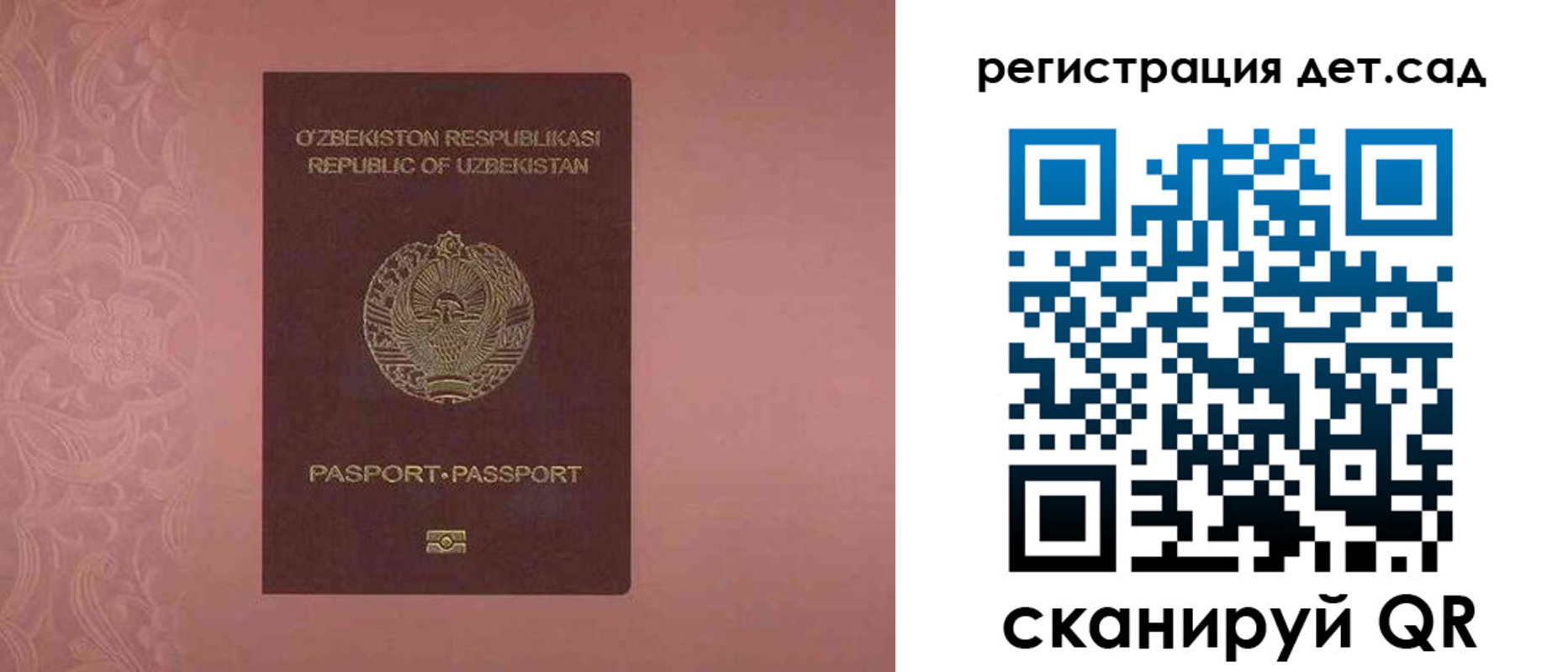 прописка ребенка в Лосино-Петровском